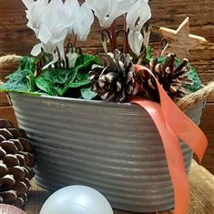 Winter Wonderland planter