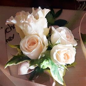 fwthumbButtonHoles600600.jpg